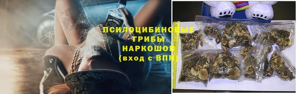 амф Бронницы