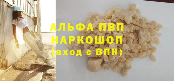сатива Бородино