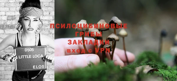 сатива Бородино