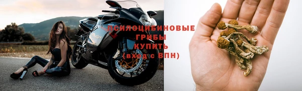 амф Бронницы