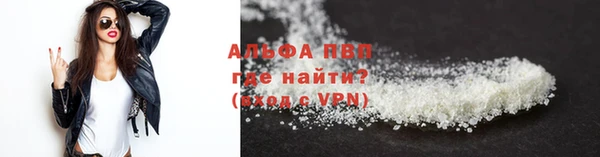 сатива Бородино