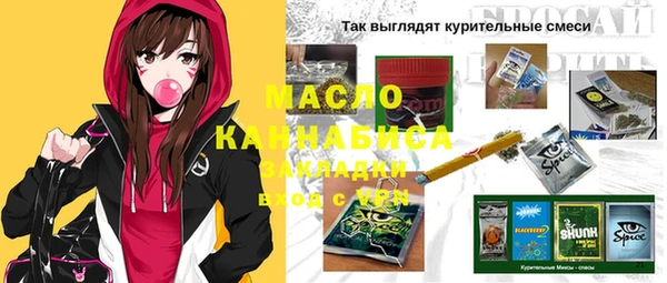 сатива Бородино