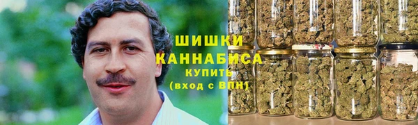сатива Бородино