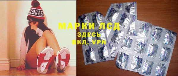 сатива Бородино