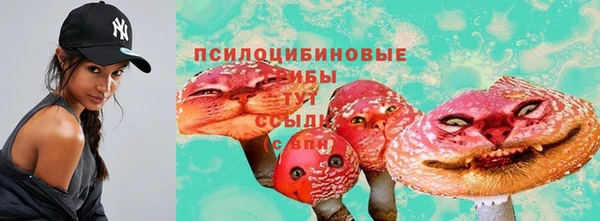 ешки Богородицк