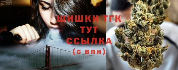 сатива Бородино