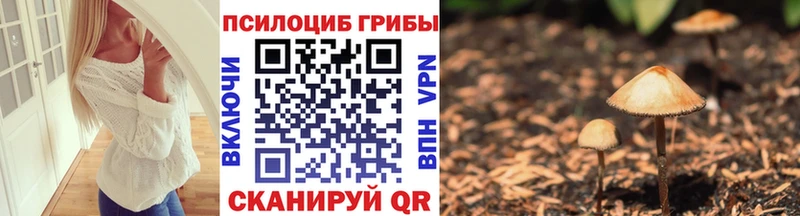 Псилоцибиновые грибы Psilocybine cubensis  Каменка 